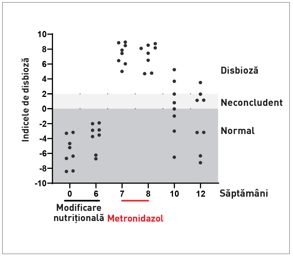 Efectul pe care îl exercită modificările nutriționale și administrarea de metronidazol asupra microbiomului intestinal la câinii sănătoși