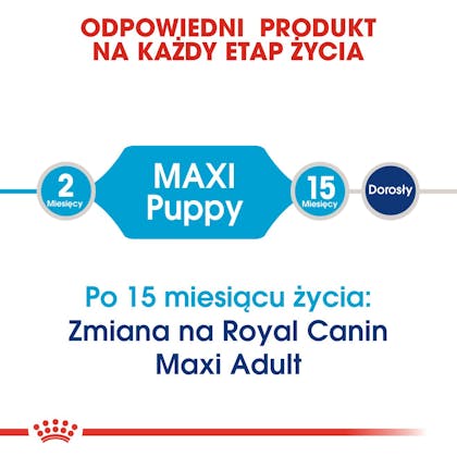 RC-SHN-Puppy-Maxi-CV1_012_POLAND-POLISH