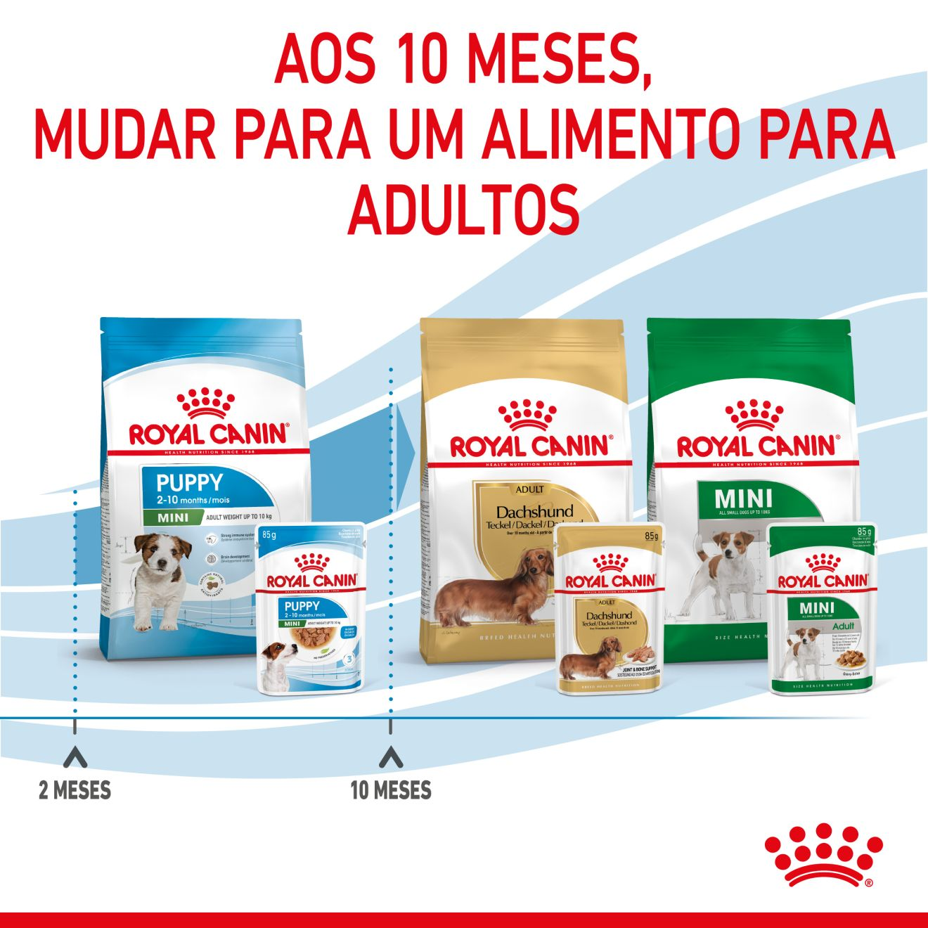 PUPPY - MINI - Chunks in gravy