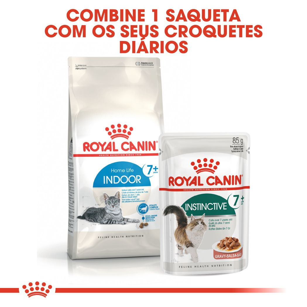 Indoor Long Hair | Royal Canin PT