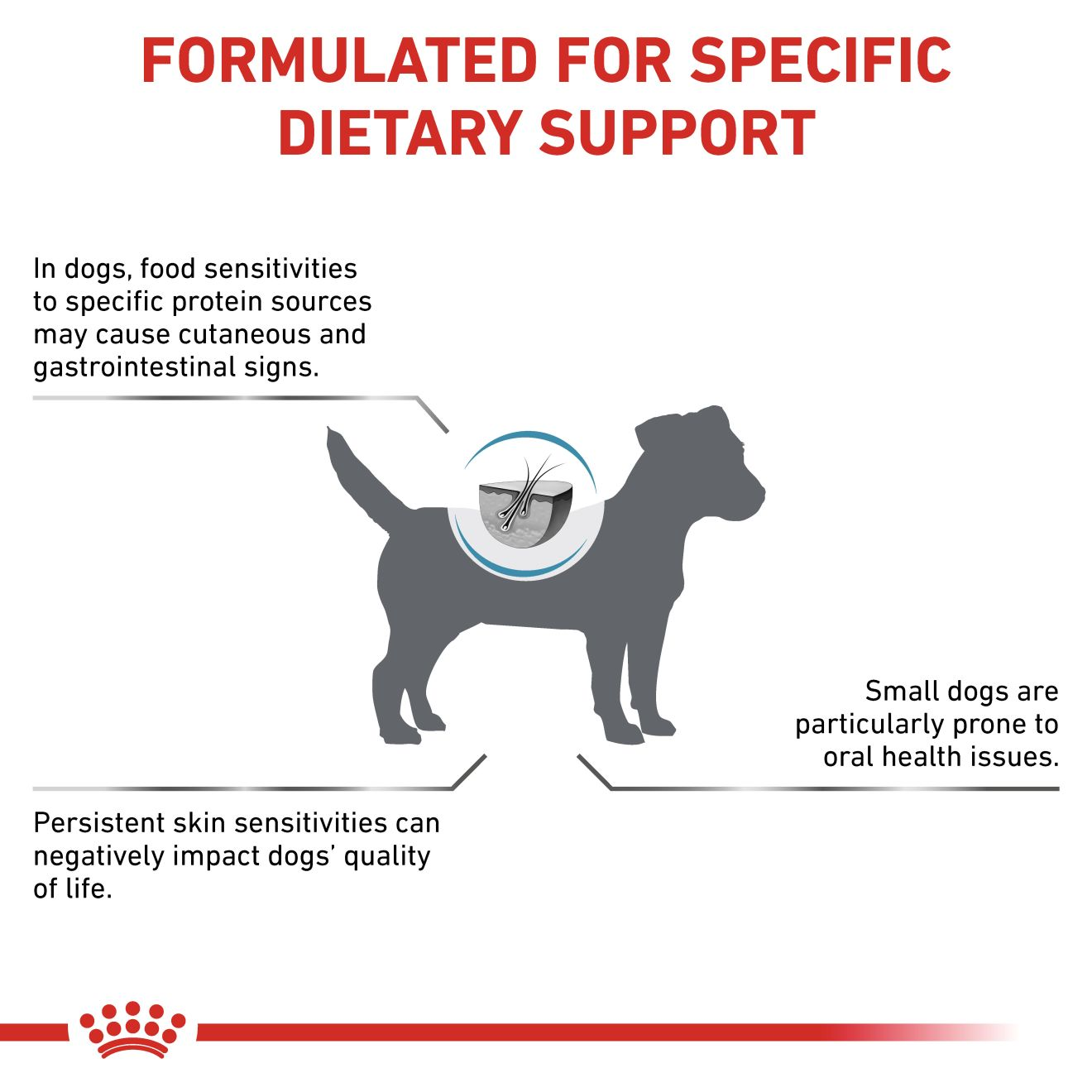 Derma anallergenic small dog royal canin no
