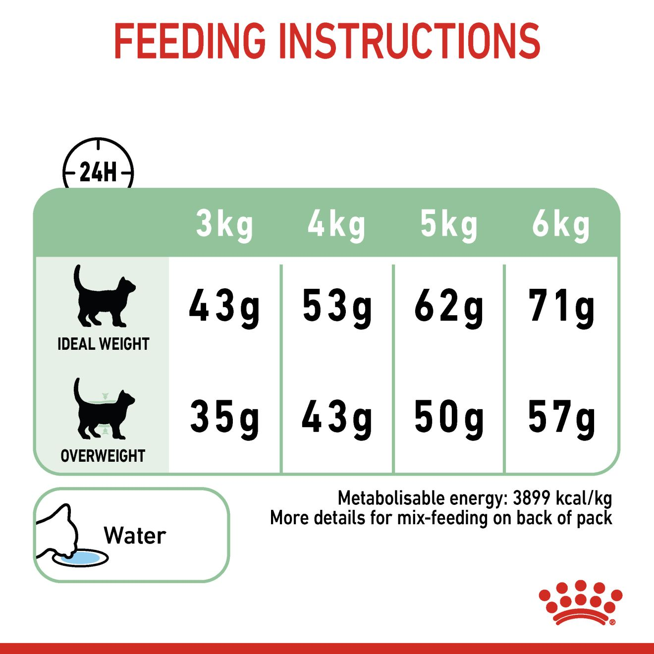 Kitten food clearance chart