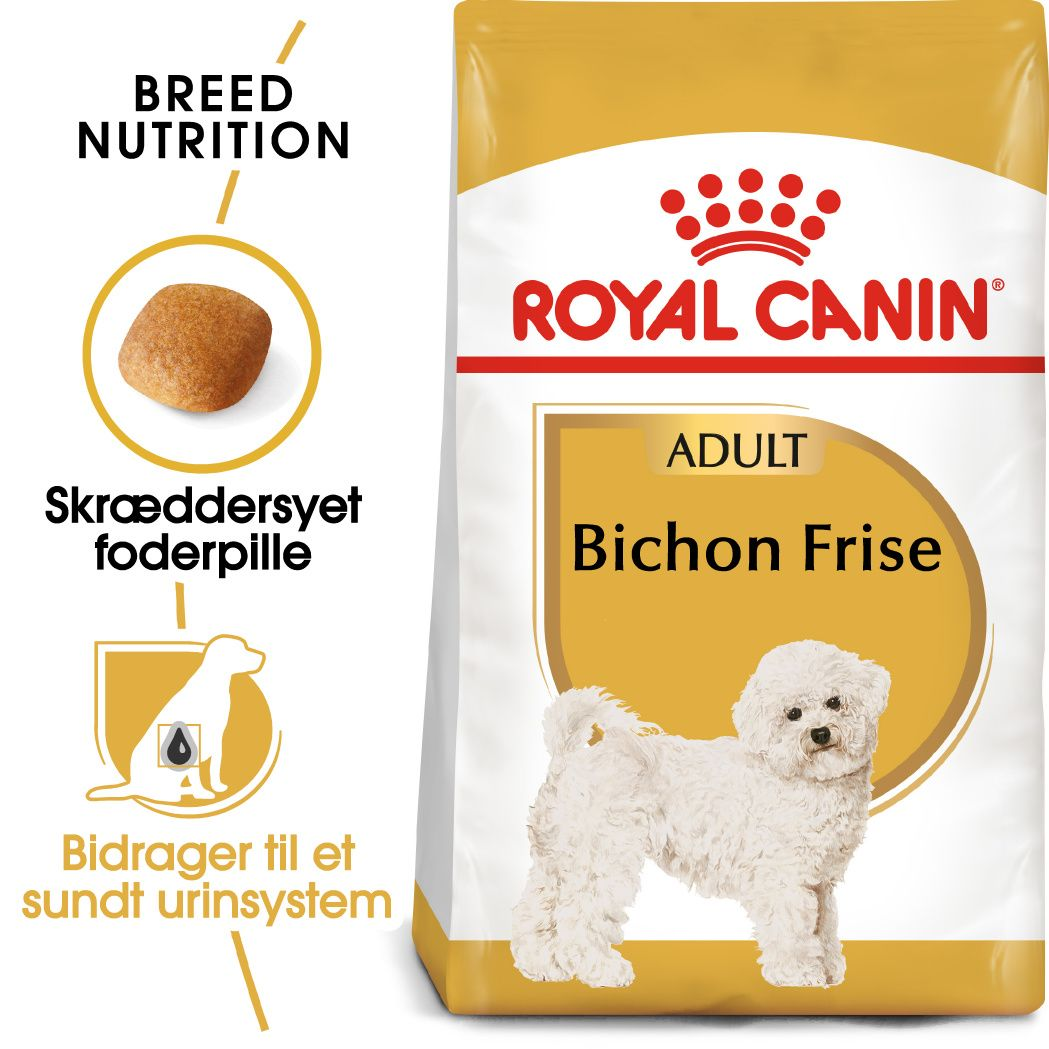 Bichon Frisé Adult