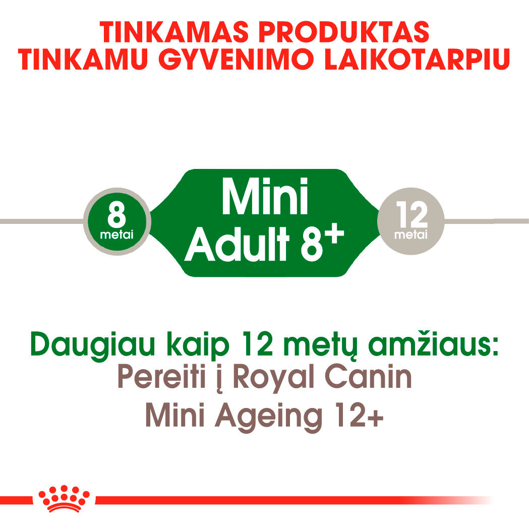 Mini Adult 8+