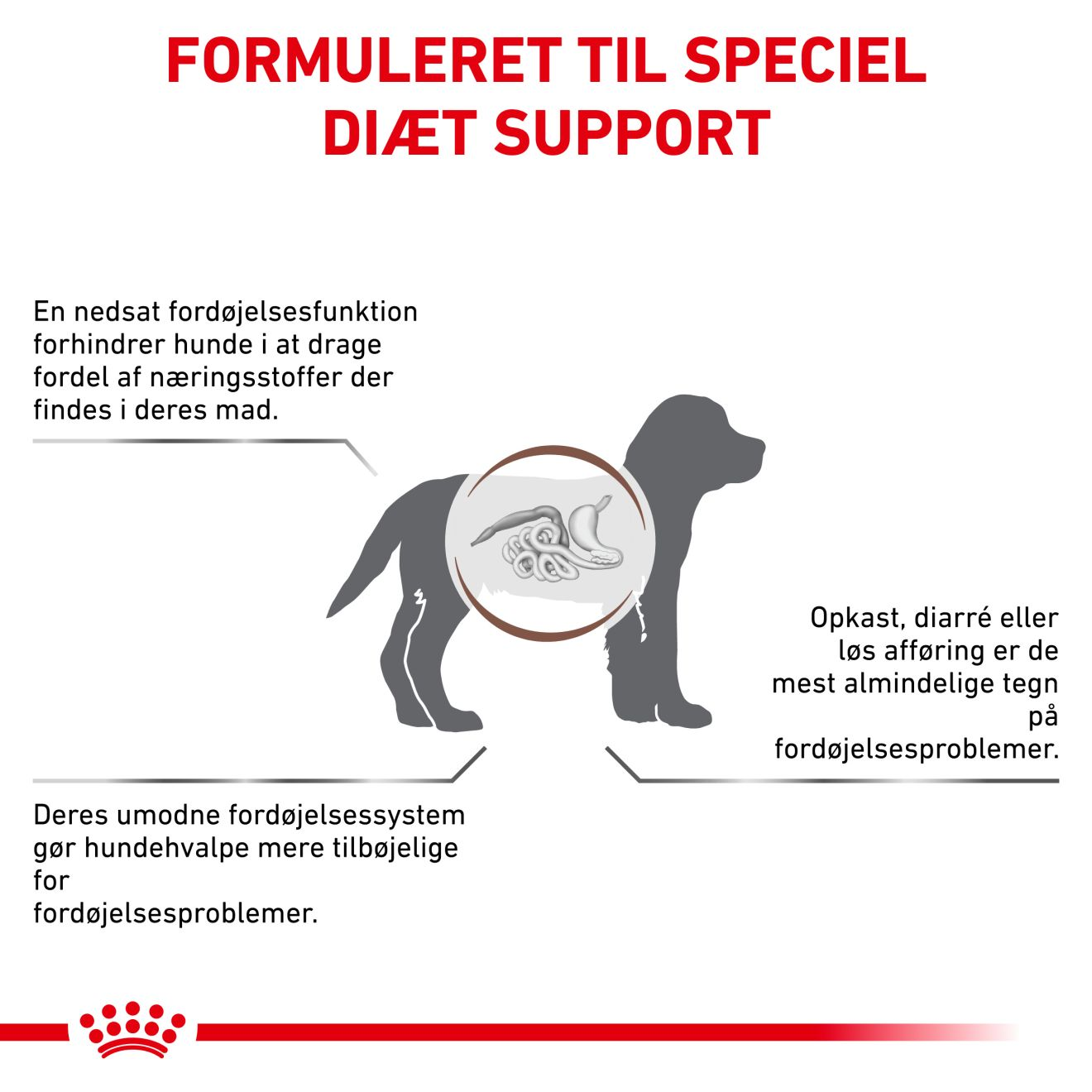 Gastrointestinal Puppy | Royal Canin DK