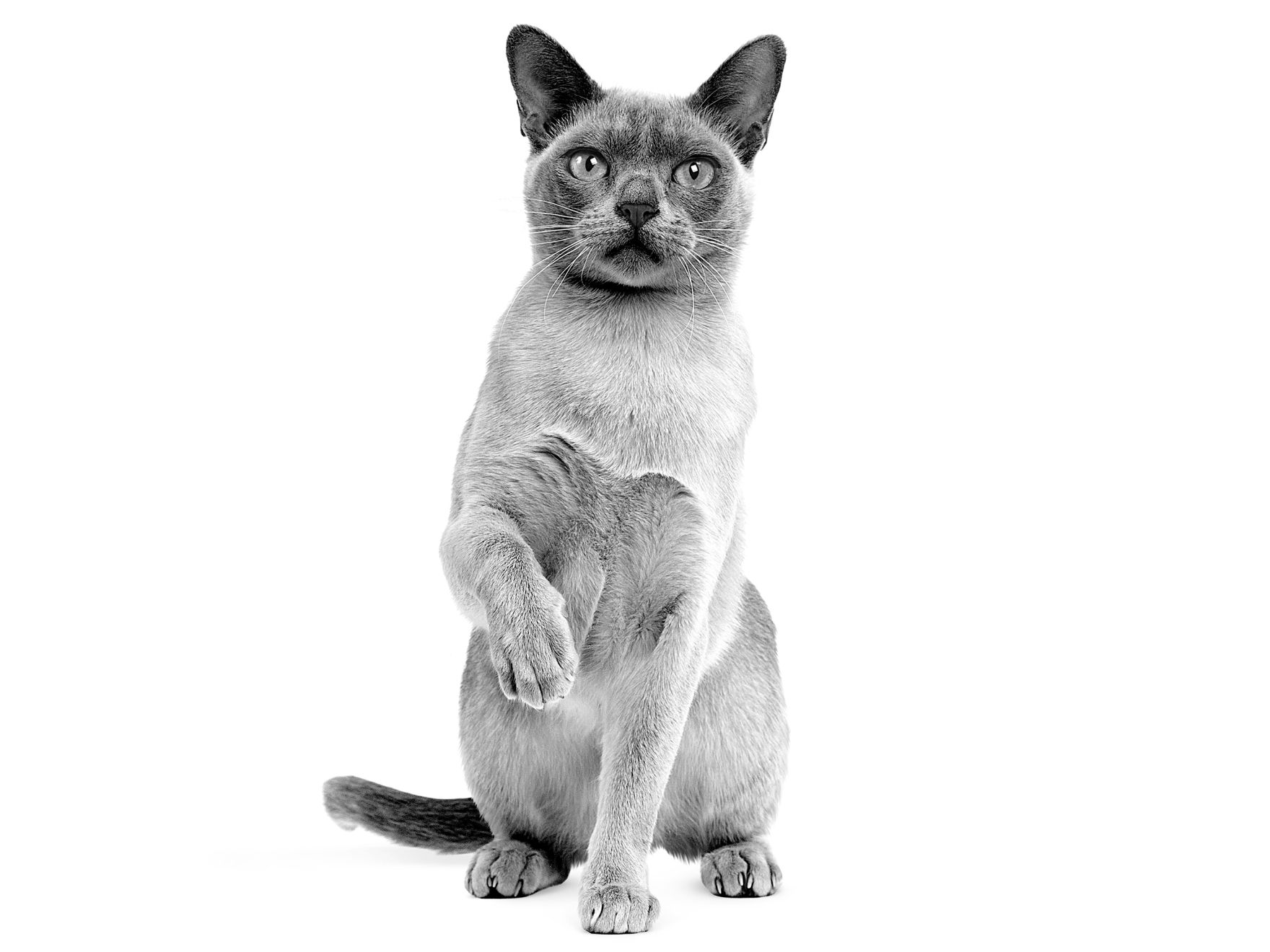 Maßgeschneiderte Ernährung