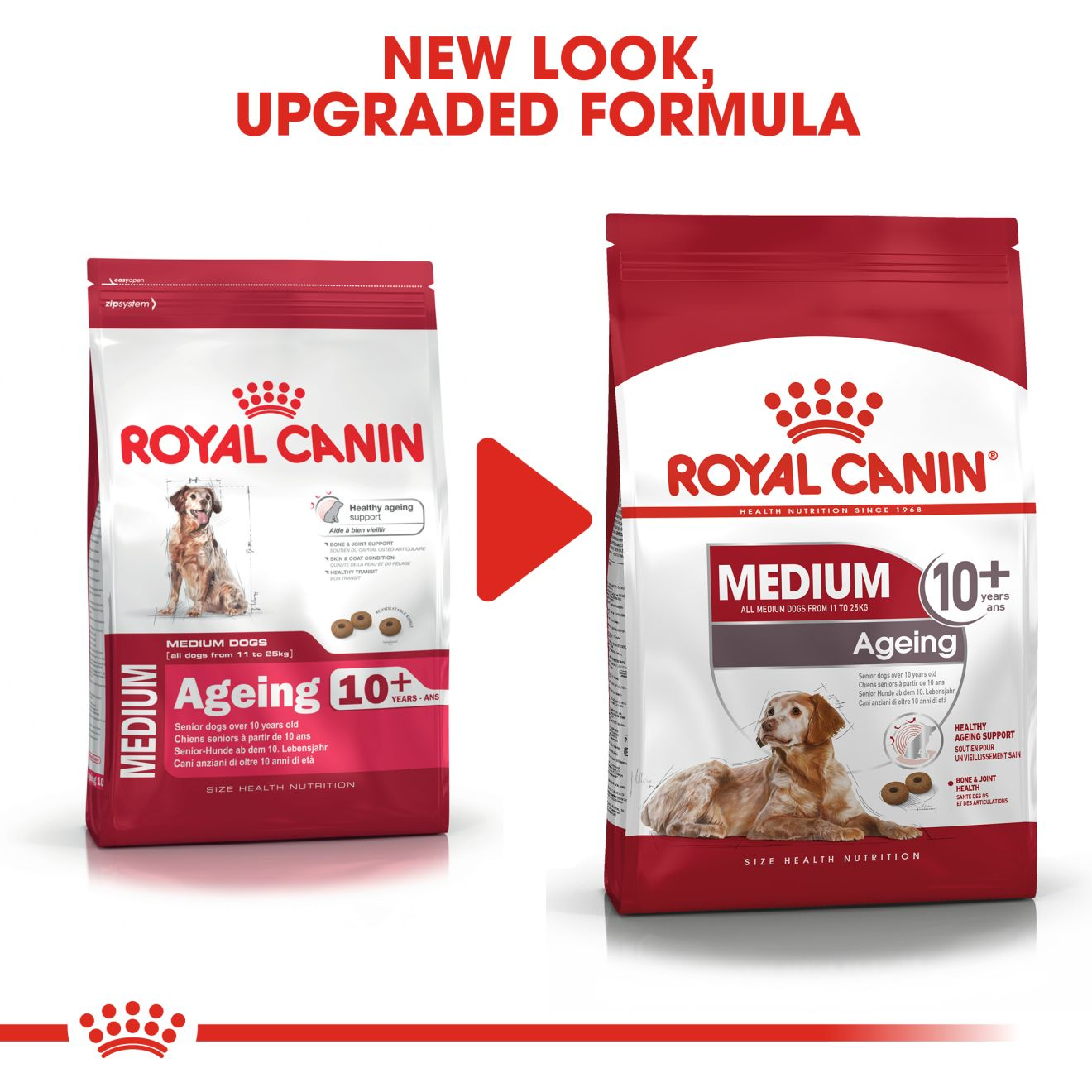 Royal canin 2025 medium senior