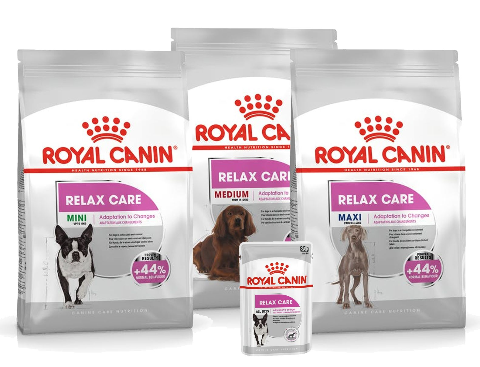 Relax Care for Mini, Medium and Maxi dogs