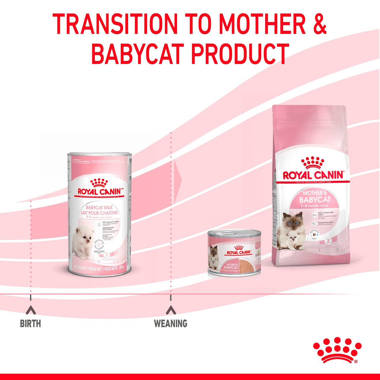 Babycat Milk