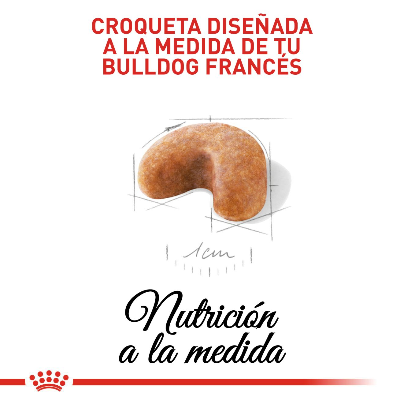 Bulldog Francés Cachorro