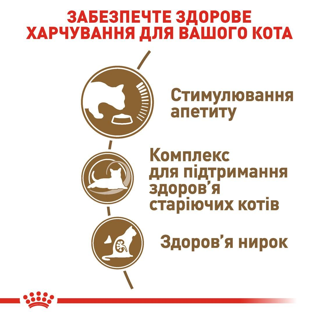 Ageing 12+ | Royal Canin UA