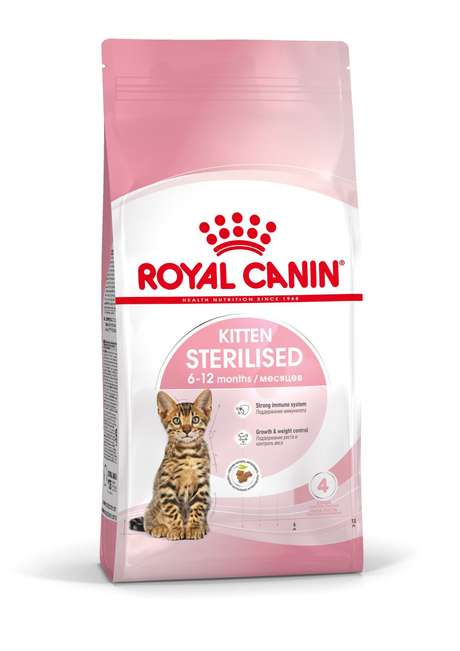 Почему котенок не ест: что делать, если котенок отказывается от еды | Royal Canin