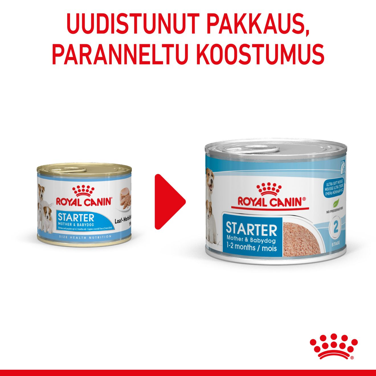 Starter Mousse