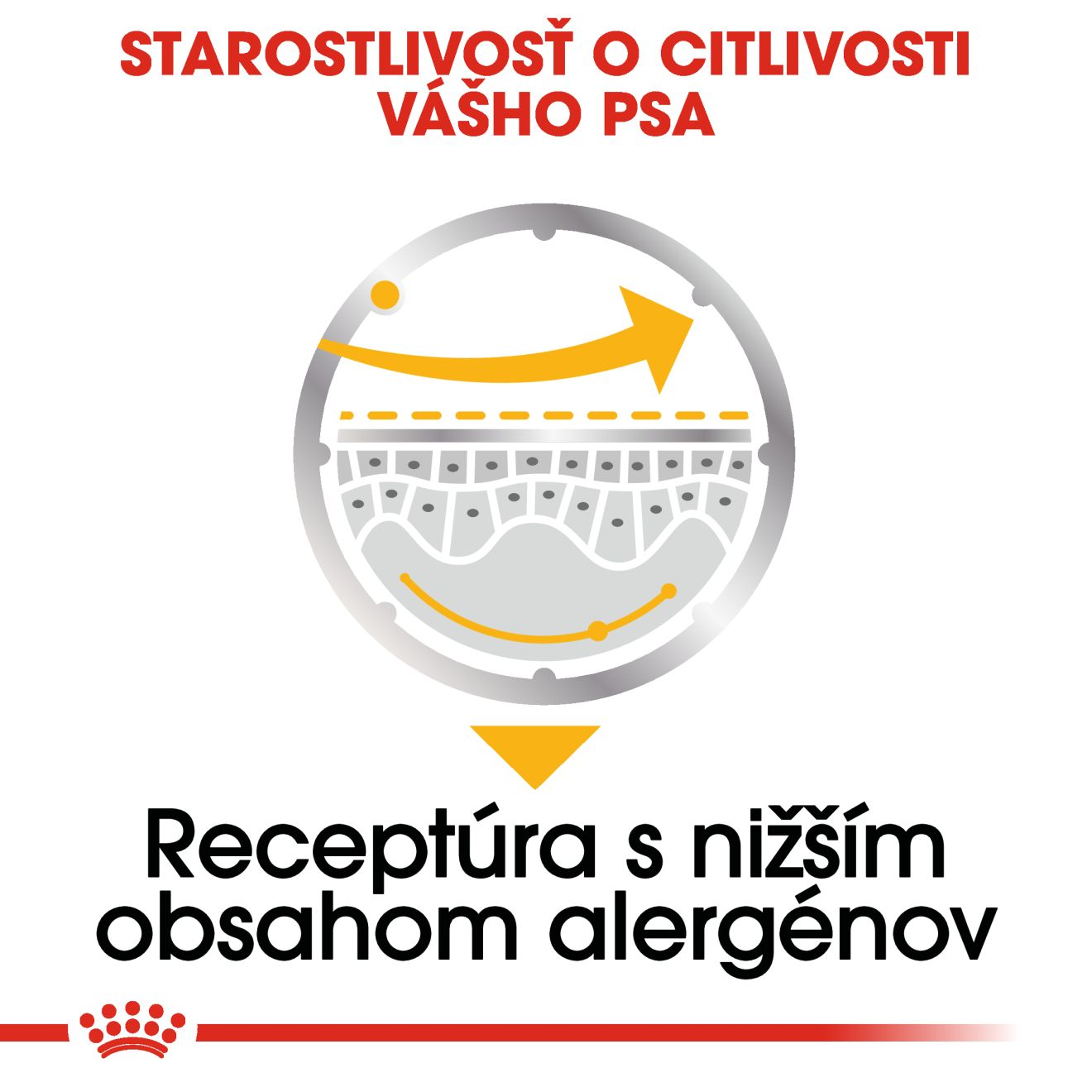 ROYAL CANIN Dermacomfort Dog Loaf kapsička s paštétou pre dospelých psov s problémovou kožou
