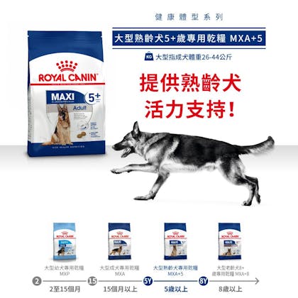 A+_MXA+5_正方形_1