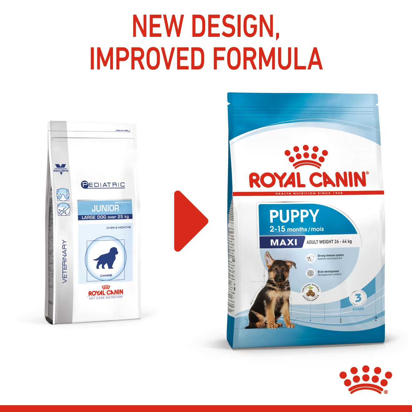 Maxi Puppy Dog Food Royal Canin Shop Royal Canin UK