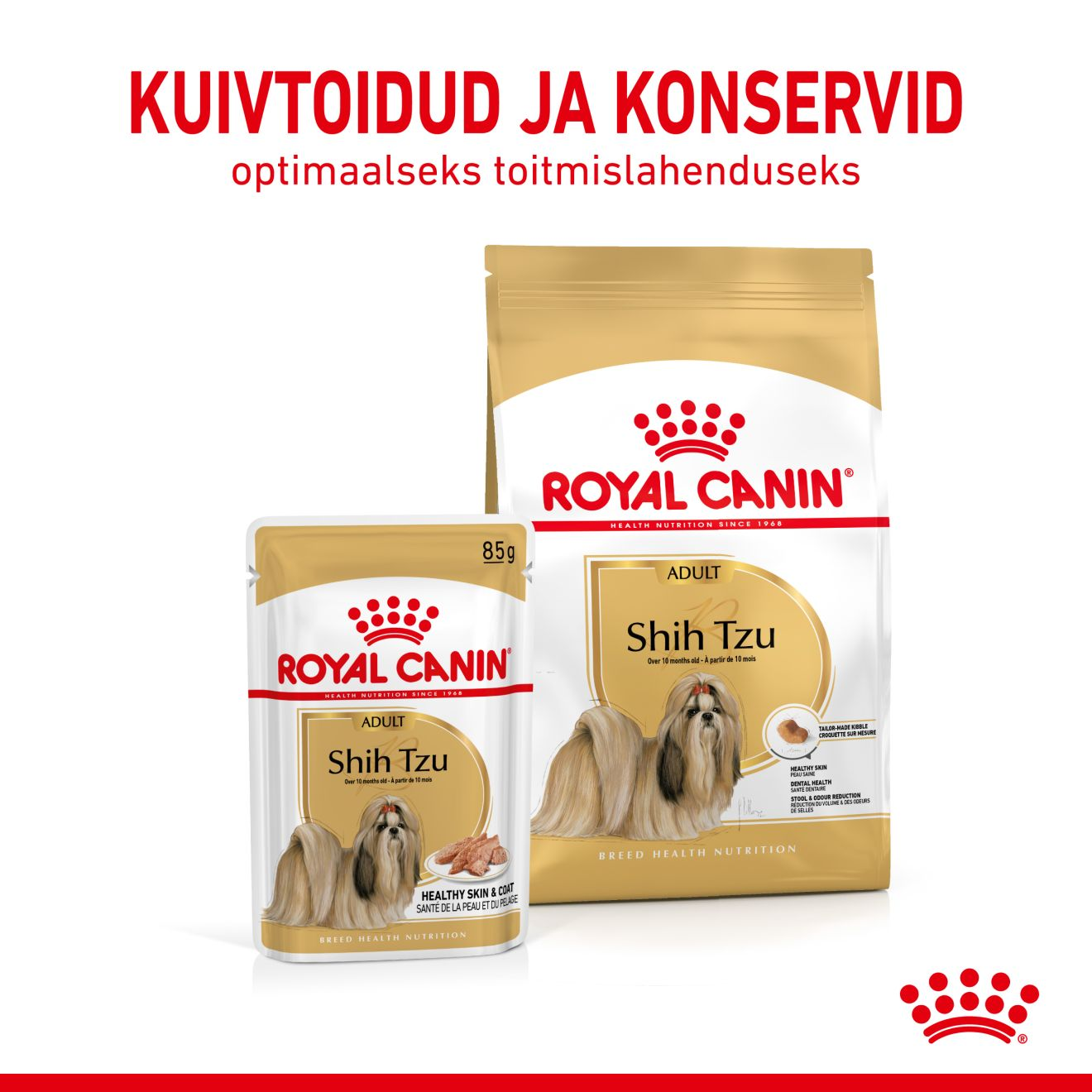 Royal Canin Shih Tzu Adult konserv