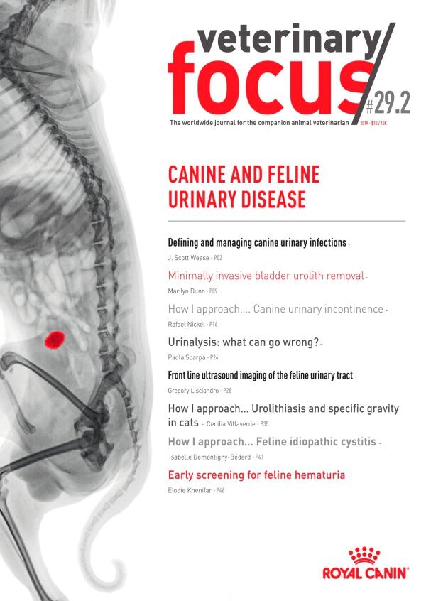 Canine and feline urinary disease