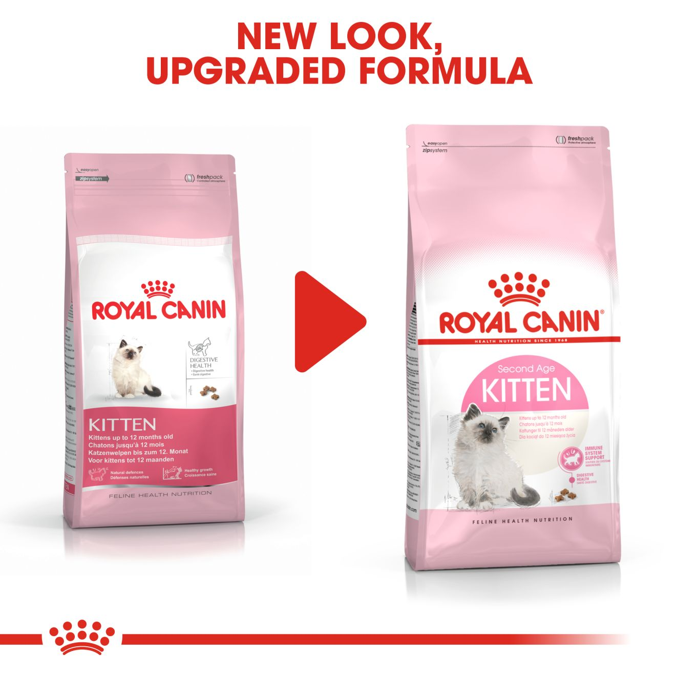 Royal canin kitten hot sale dry food ingredients