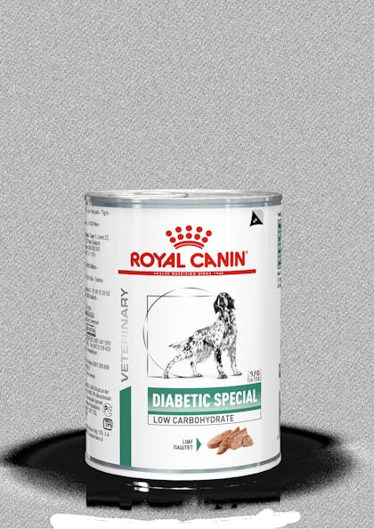 VHN-WEIGHT MANAGEMENT-DIABETIC SPECIAL LOW CARBOHYDRATE DOG CAN 400G-PACKSHOT