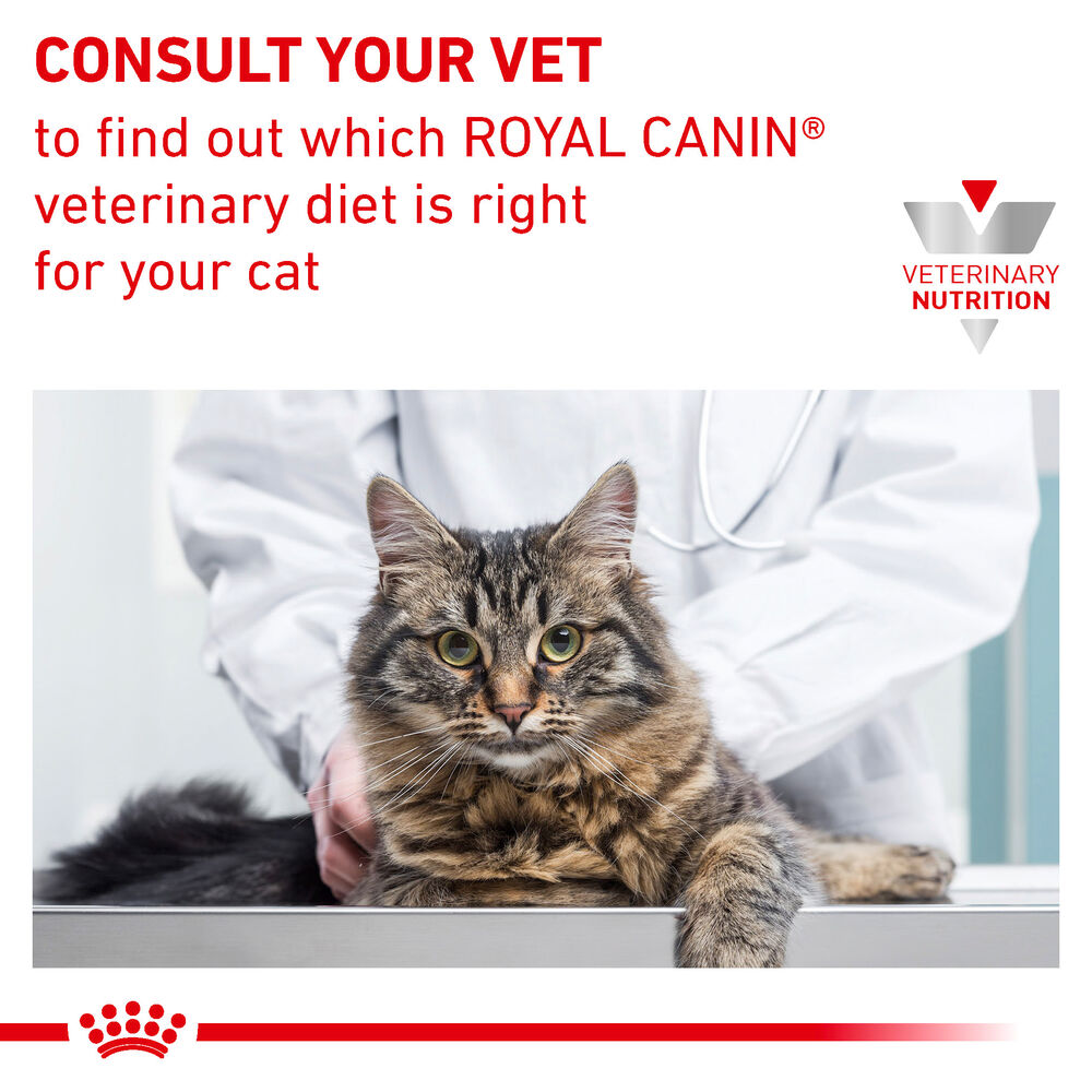 Royal canin cat food urinary clearance so