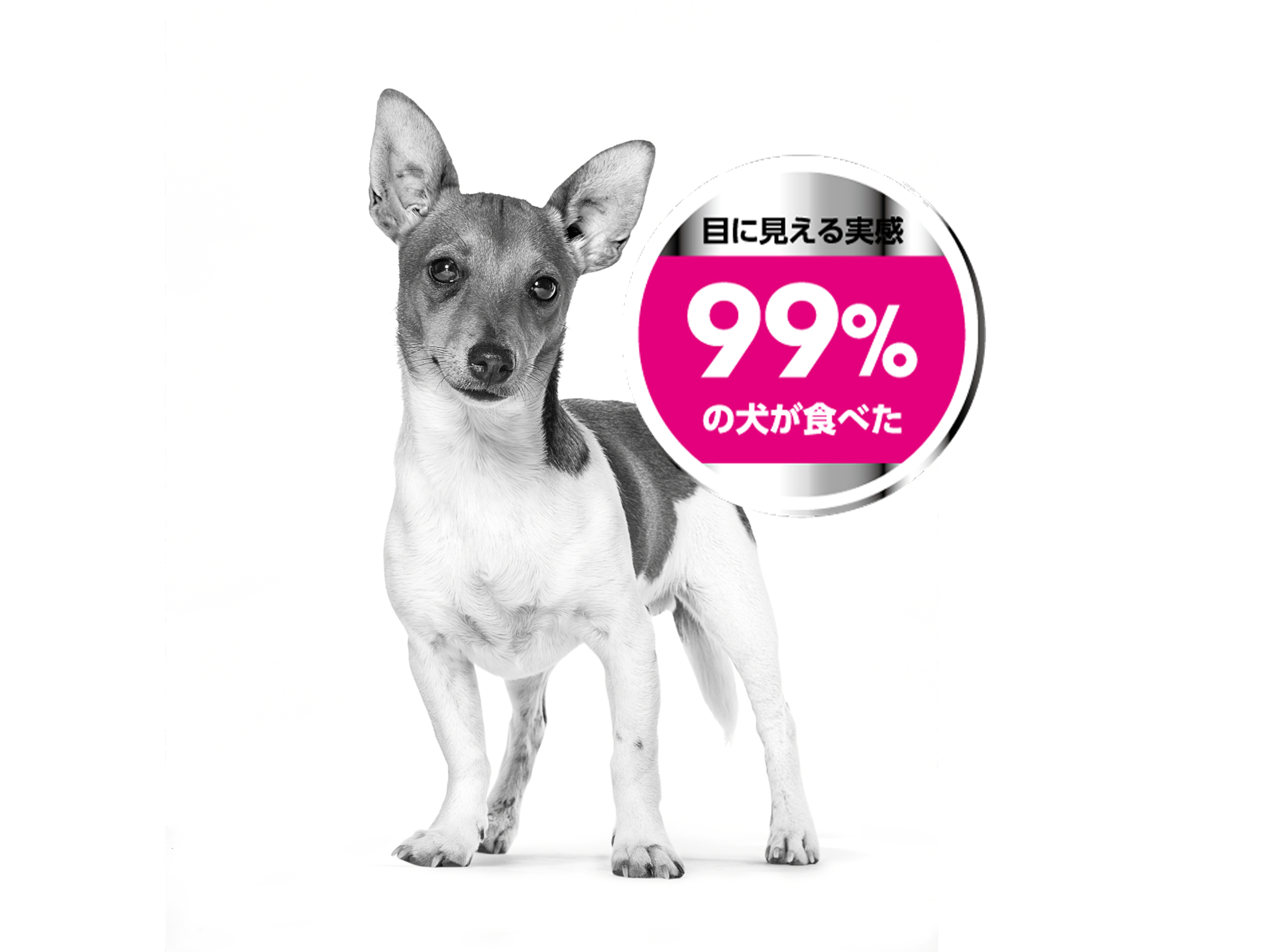 エクシジェント ドッグフード ロイヤルカナン
