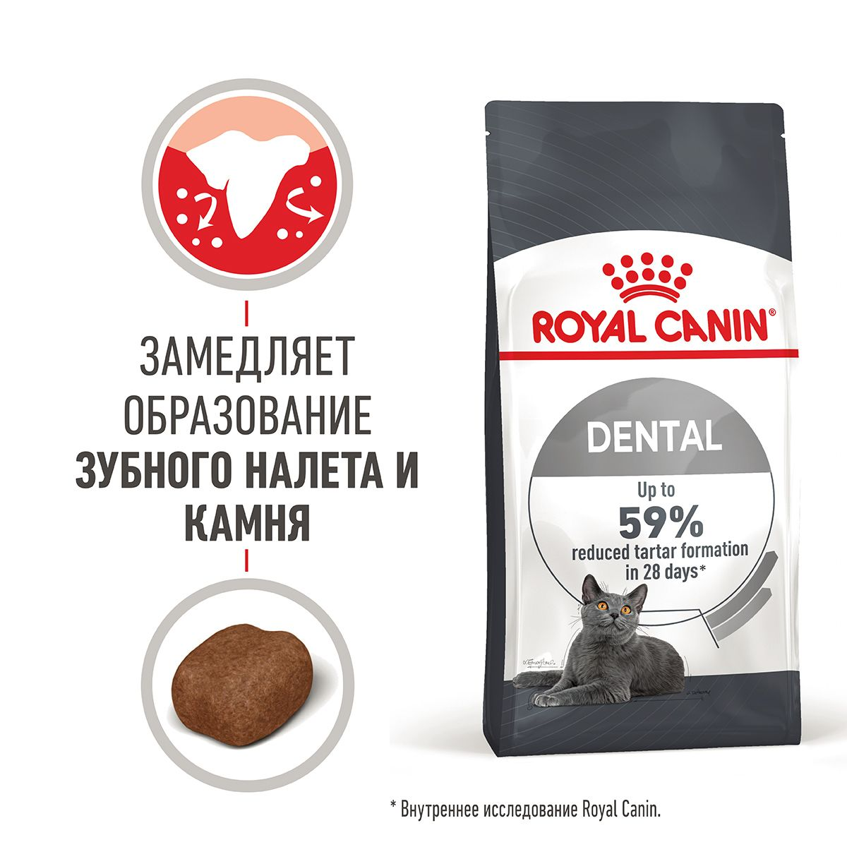 Dental Care