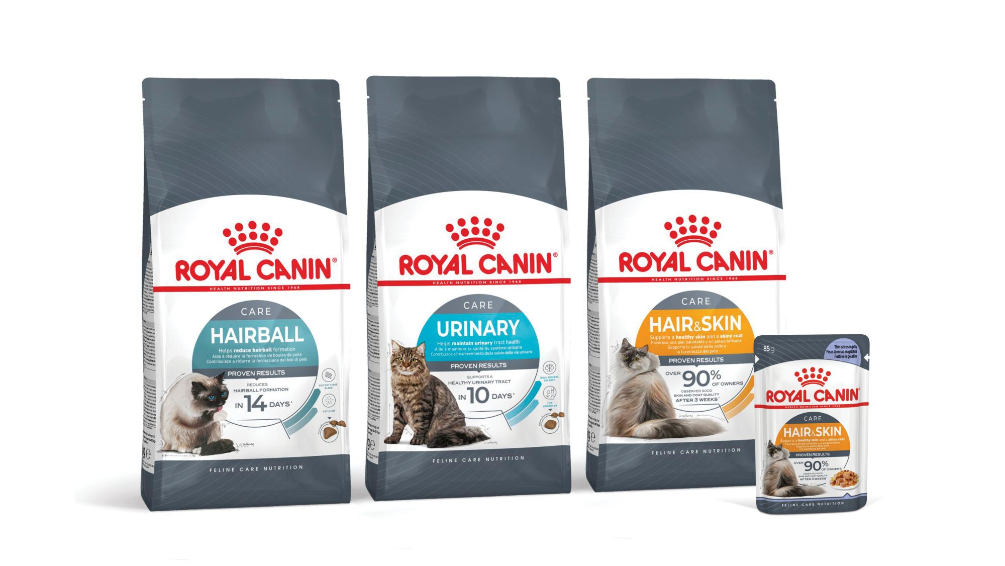 Mačke kojima je potrebna posebna skrb