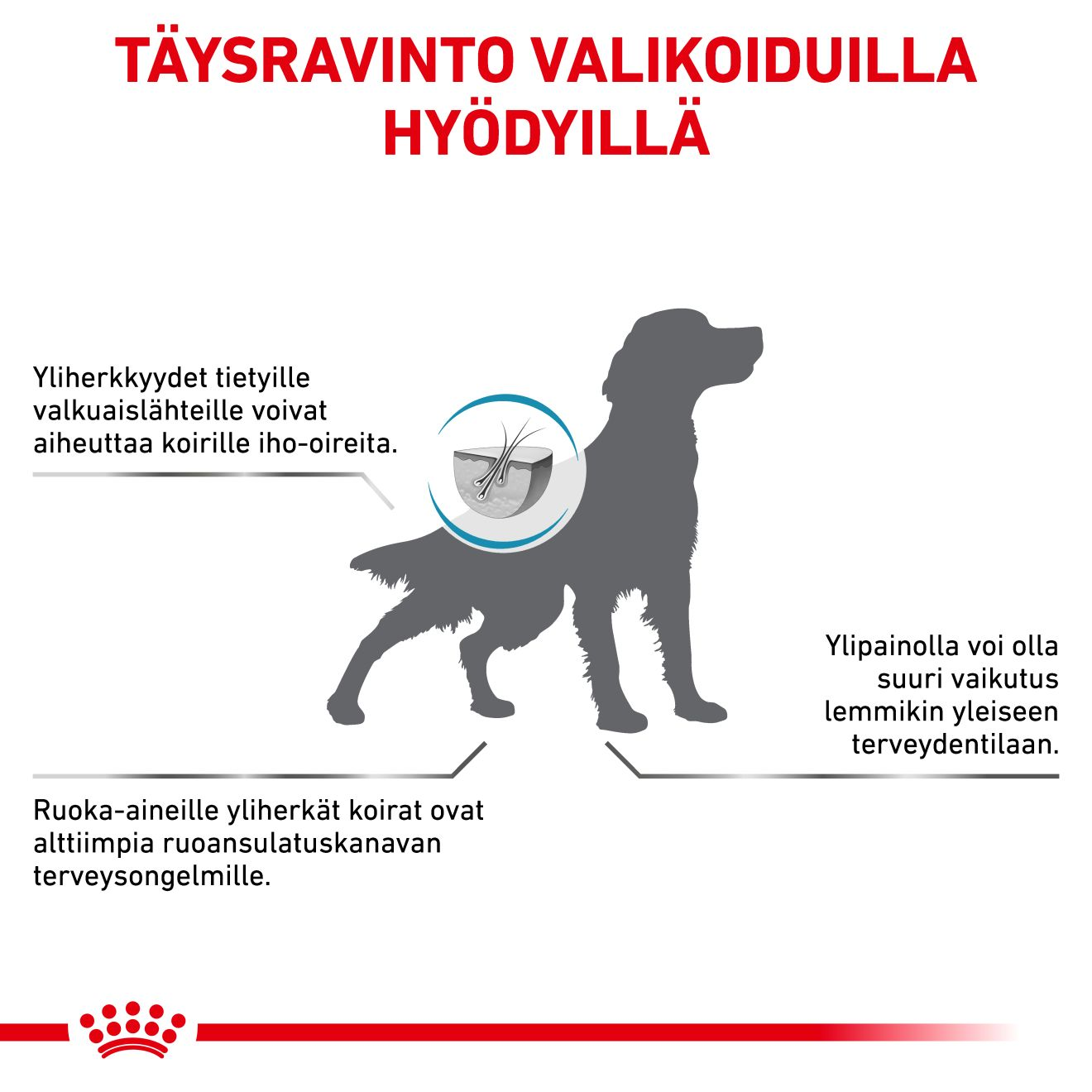 Derma Hypoallergenic Moderate Calorie