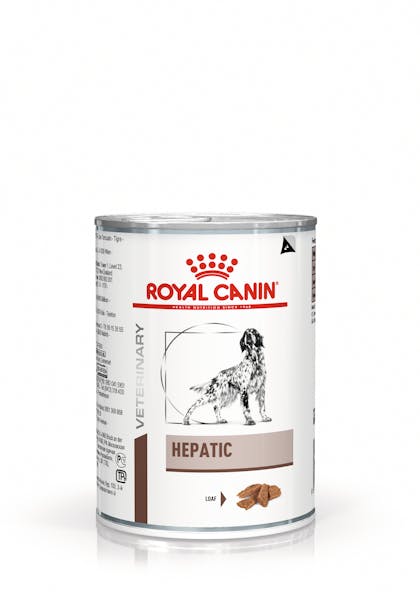 VHN-GASTROINTESTINAL HEPATIC DOG LOAF CAN 410GR-PACKSHOT