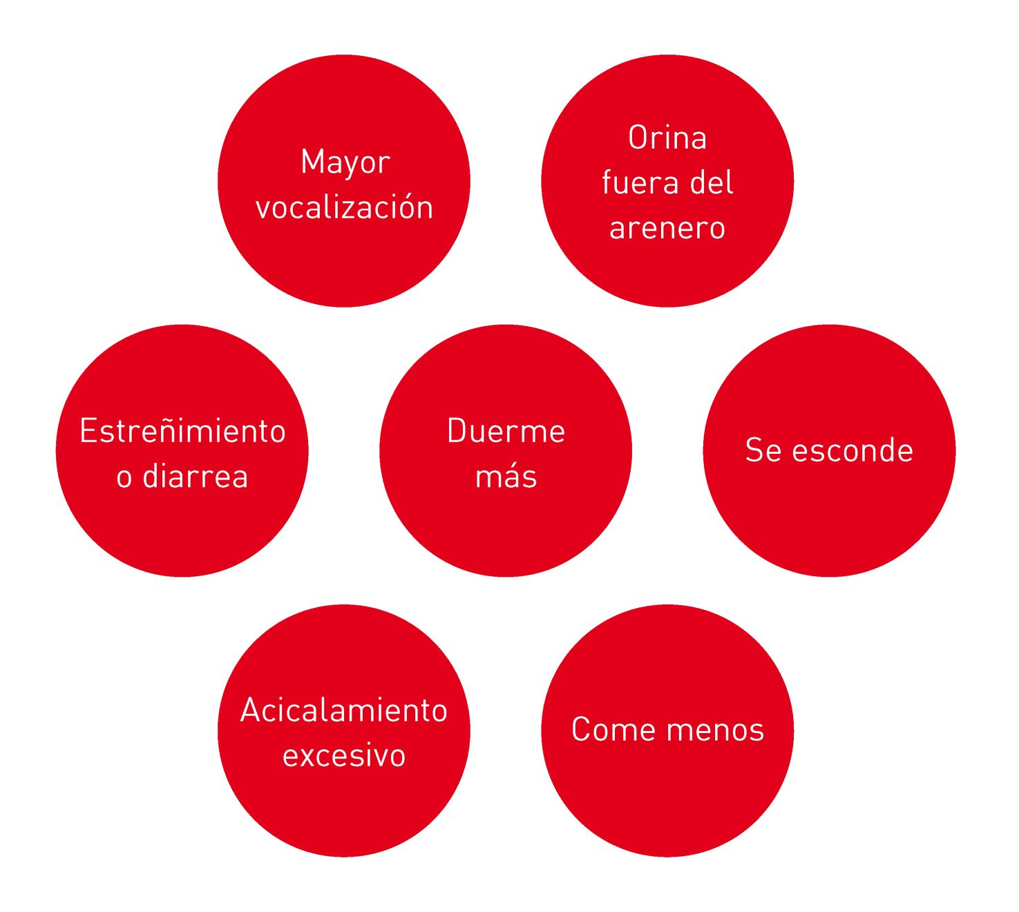 Cómo los gatos pueden mostrar signos de estrés ilustración