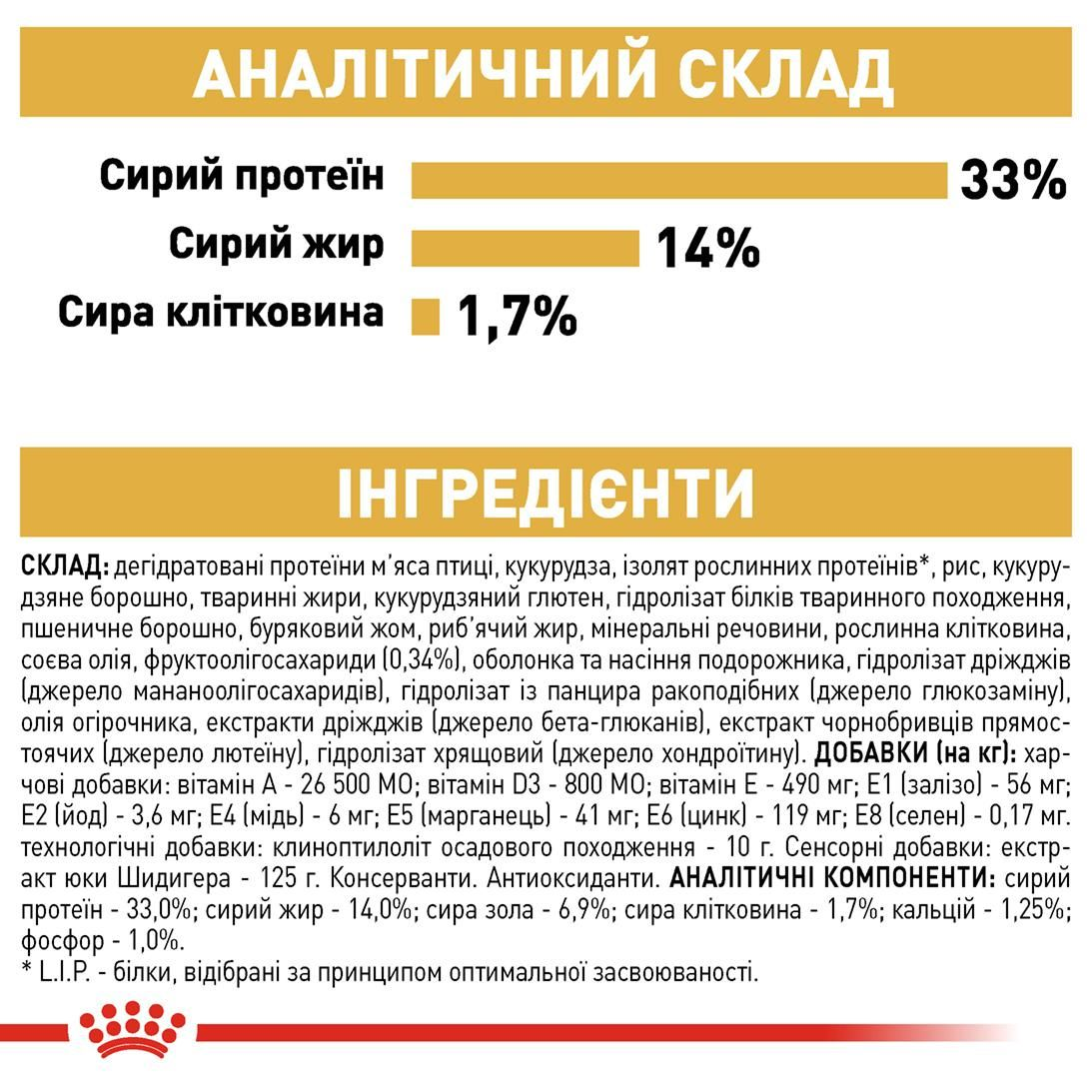 Labrador Retriever Puppy