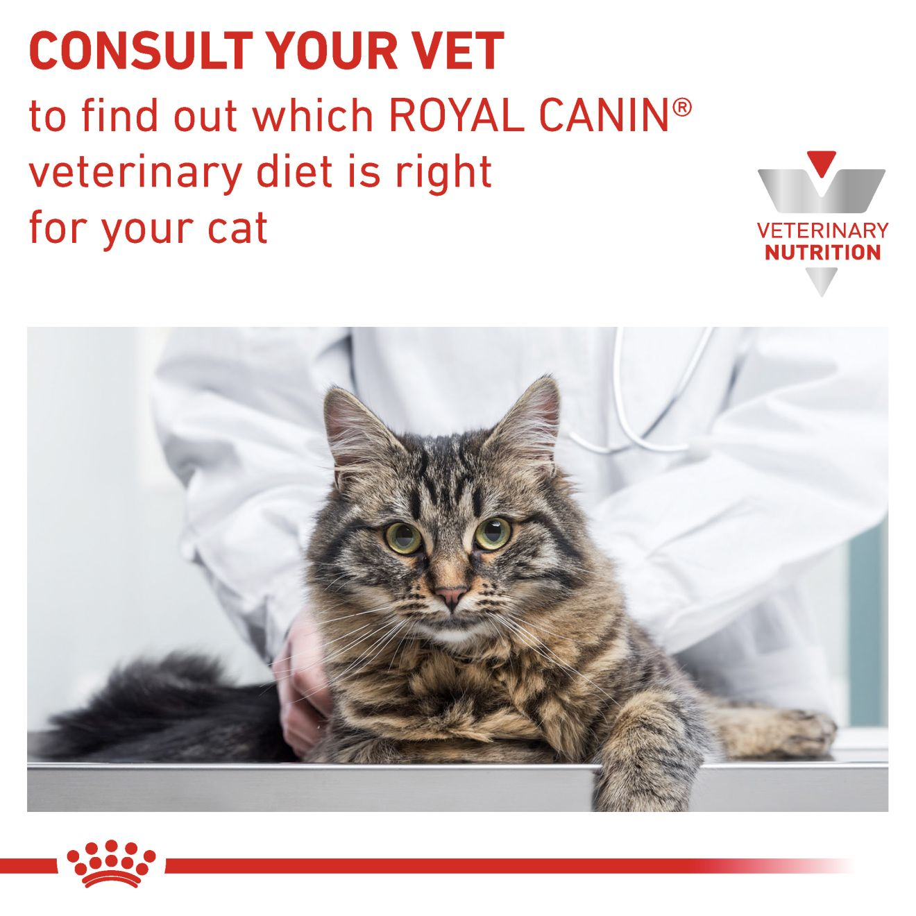 VHN Cat Gastrointestinal Moderate Calorie Gravy