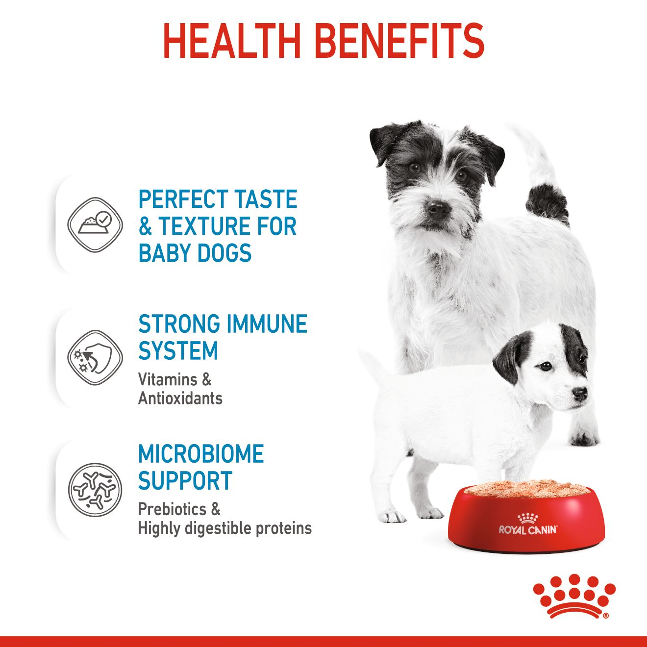 Royal canin mother and baby clearance dog mousse