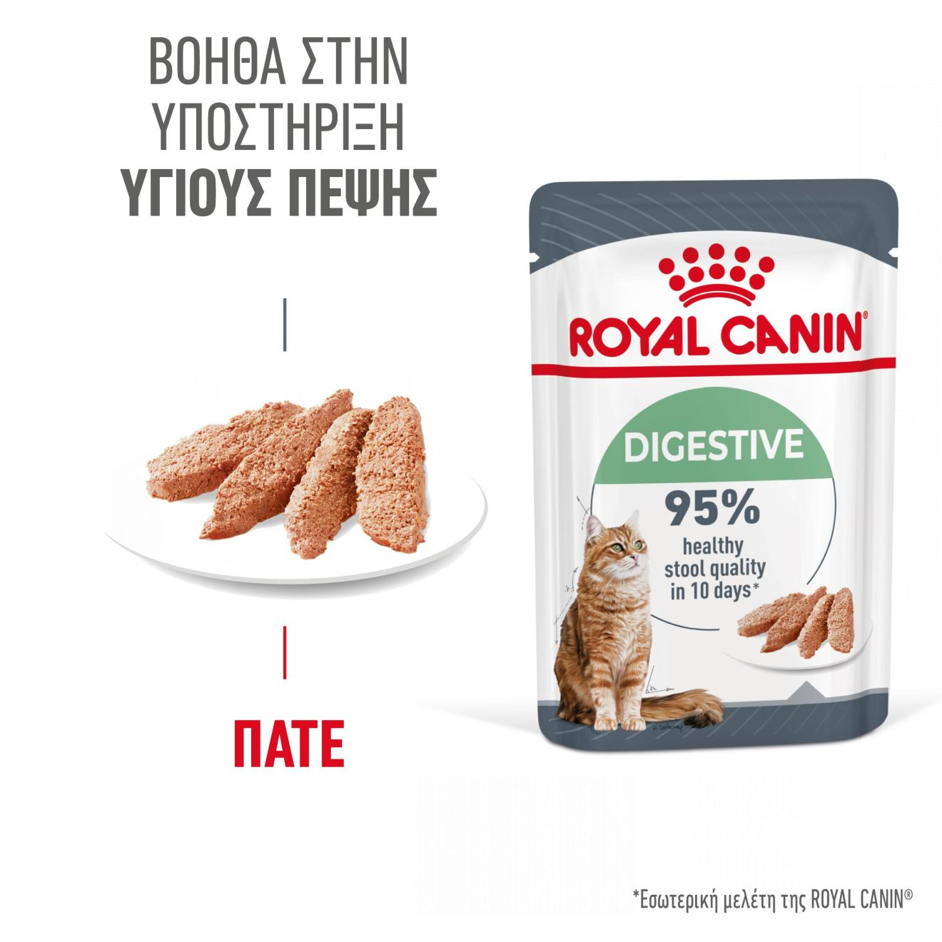 DIGESTIVE CARE πατέ 