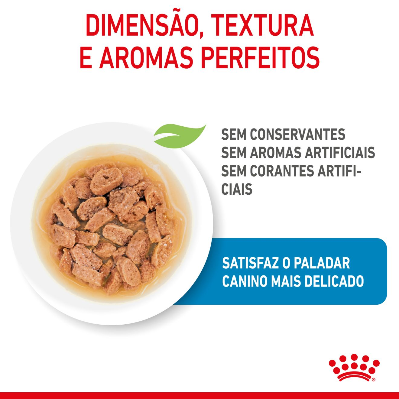 PUPPY - MINI - Chunks in gravy