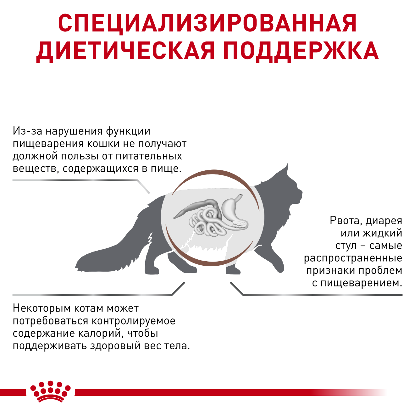 Gastrointestinal Moderate Calorie