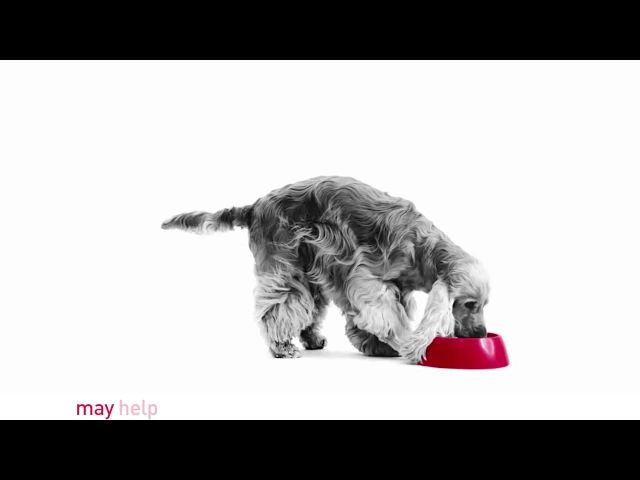 skin-and-food-sensitivities