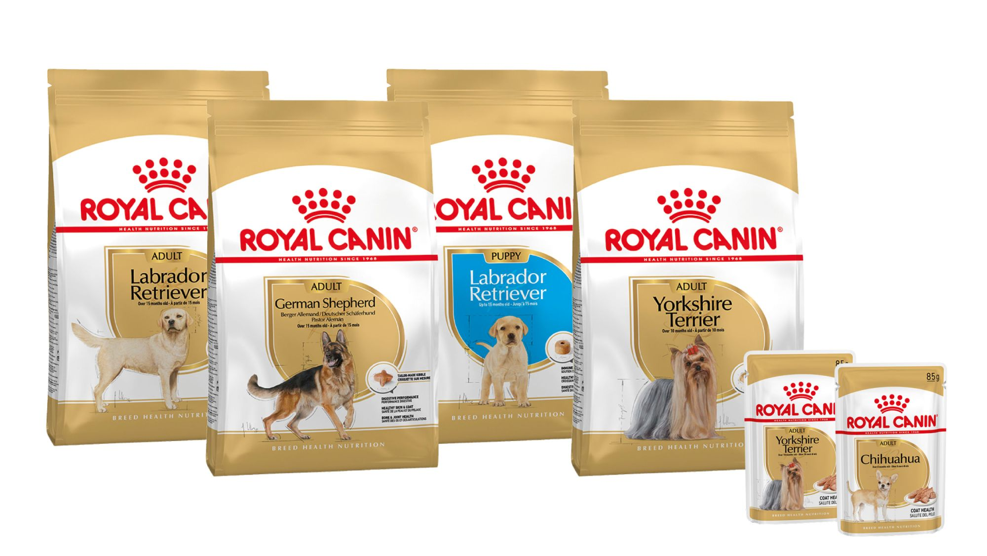 Pienso para perros: descubre nuestros productos