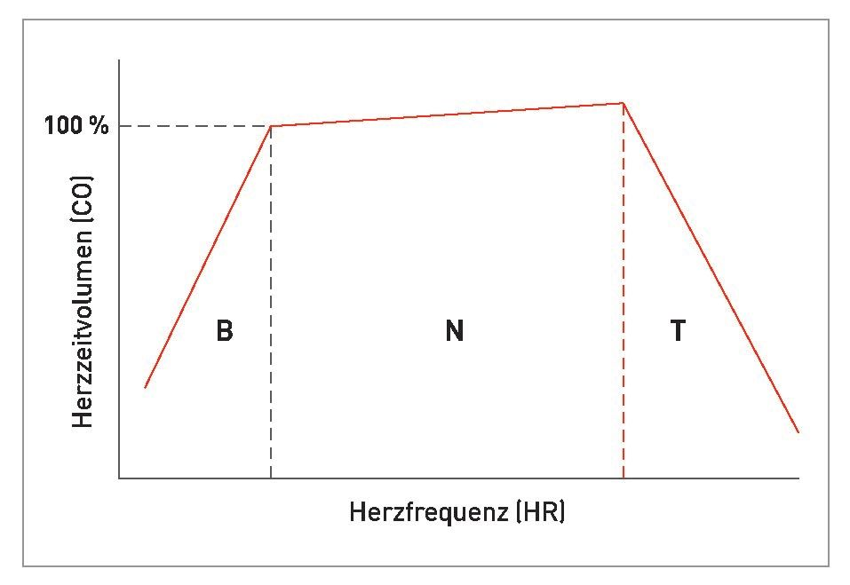 Die Beziehung zwischen Herzzeitvolumen (CO) und Herzfrequenz (HR) 