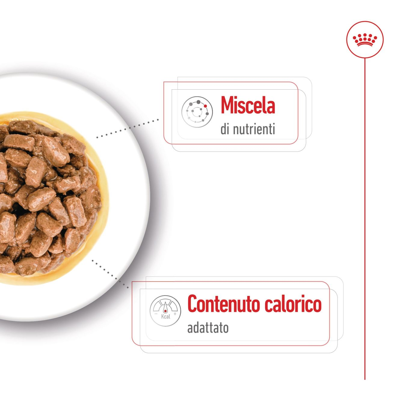 Mini Ageing bocconcini in salsa