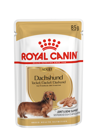 BHN Dachshund Adult Dog (Loaf)