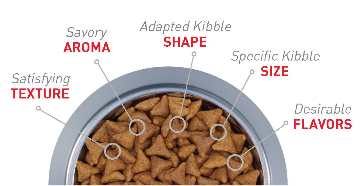 Diagram of kibble demonstrating texture, aroma, shape, size, flavours