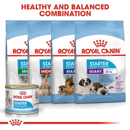 Royal Canin Starter Mousse Mother & Babydog Wet Dog Food