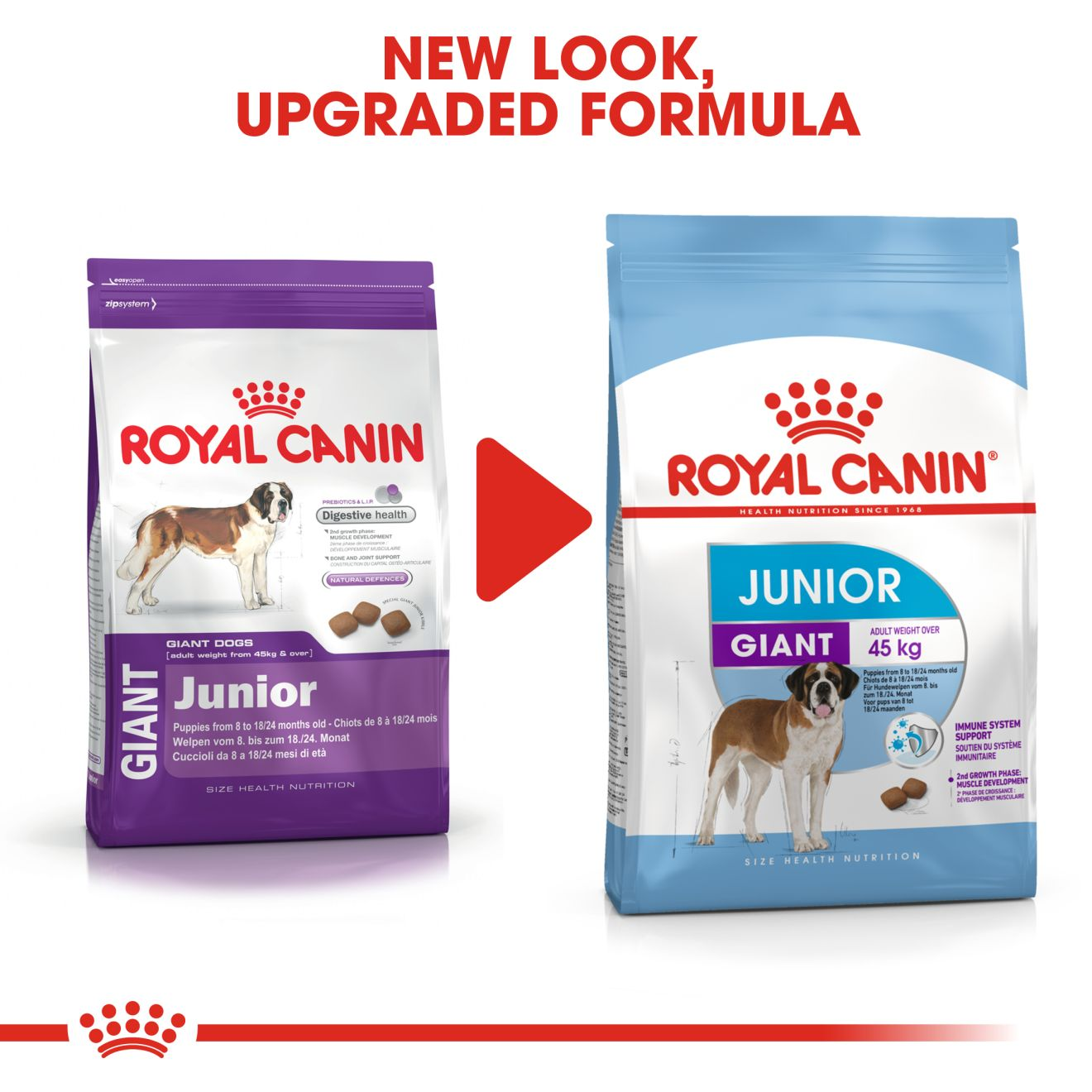 Giant Junior | Royal Canin ZA