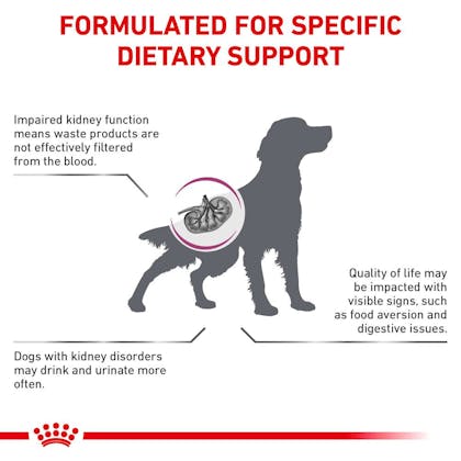 AMENDED-RC-VET-DRY-DogRenal-Eretailkit-B1_Page_3_en_GB