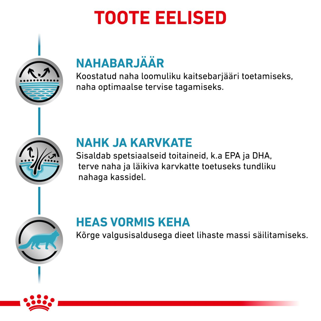Royal Canin Skin & Coat Cat kuivtoit