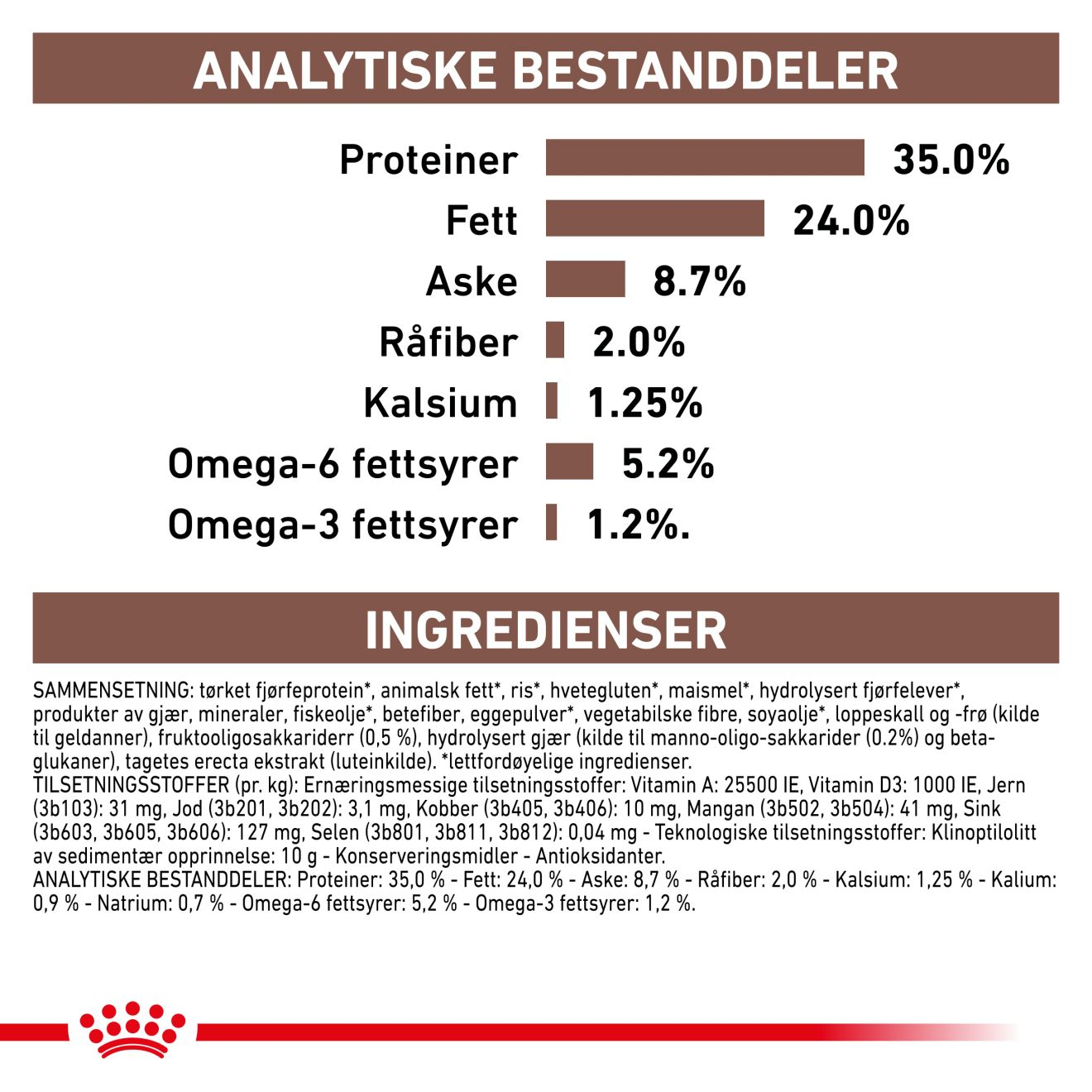 Gastrointestinal Kitten