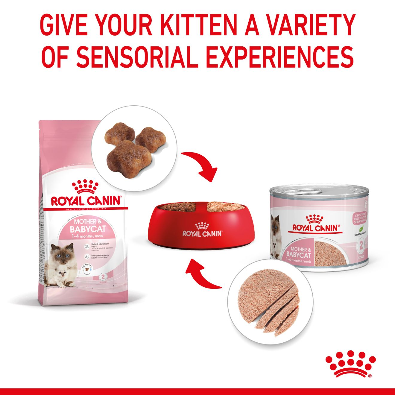 Royal Canin Mother & Baby Cat Mousse