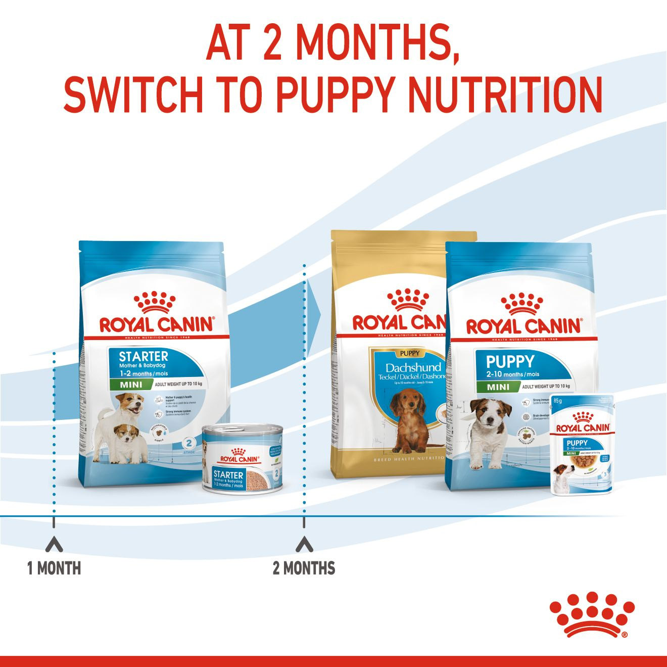 Royal canin clearance mini starter price